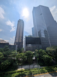 Midtown Modern (D7), Apartment #451617841